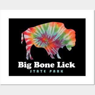 Big Bone Lick State Park Kentucky Bison Tie Dye Fossils Posters and Art